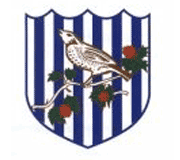 Wext Bromwich Albion